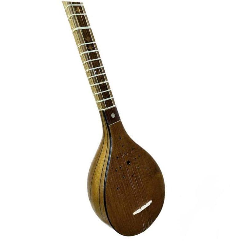 سه تار هاشمیان Setar Hashemian