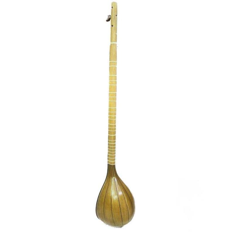 سه تار هاشمیان Setar Hashemian