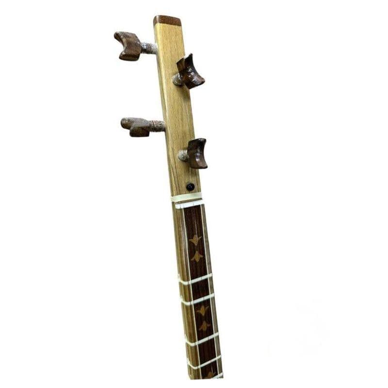 سه تار هاشمیان Setar Hashemian