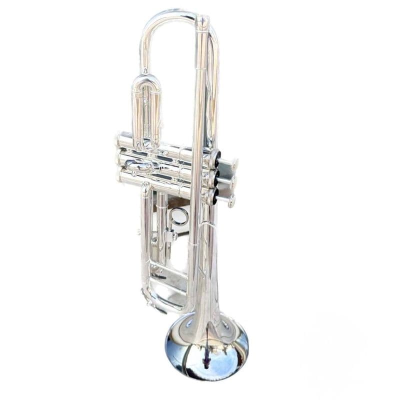 ترومپت سندنر مدل نقره ای Trompet Sandner silver model