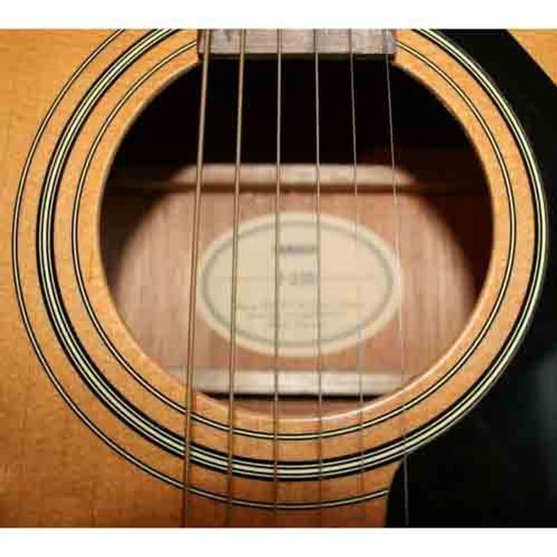 Yamaha F310 NT